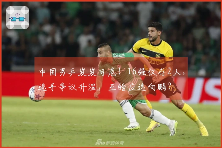 中国男乒岌岌可危！16强仅存2人，选手争议升温，王皓应选向鹏？
